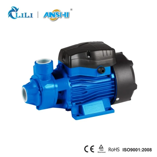 Anshi 0.5HP Peripheral Water Pump with Thermal Protector (QB60)
